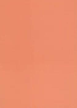 Page 2 of Phoenix Wright - Dokubutsu Coffee