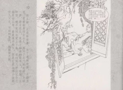 Page 56 of 史上名妓 同命相怜-素素与秀玉（张子明 2013年10月）