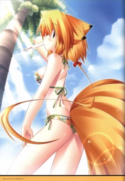 Page 72 of ALcot Visualworks vol.1