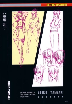 Page 43 of Thunder Claps! Visual Fan Book + Trading Card Art