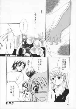 Page 29 of Genkaiharetsu