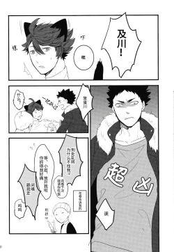 Page 19 of Iwa-chan no Neko ni Naritai | 我想成为小岩的猫