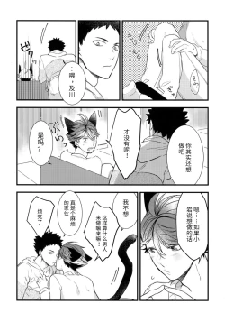 Page 30 of Iwachan no Neko ni Naritai Sairoku-Shuu | 我想成为小岩的猫 再录集