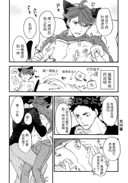 Page 12 of Iwa-chan no Neko ni Naritai 3 | 我想成为小岩的猫3