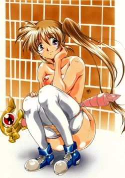 Page 12 of Boku to Nanoha de Ichakora Suru Hon