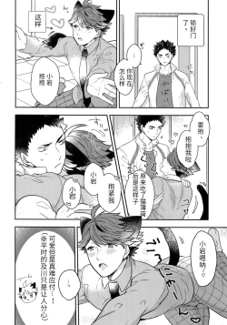Page 6 of Iwa-chan no Neko ni Naritai 4 | 我想成为小岩的猫4