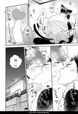 Page 33 of Iwa-chan no Neko ni Naritai 6 | 我想成为小岩的猫6