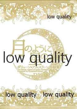 Page 208 of Tsuki no You ni Hoshi no You ni Daryun x Arslan Sairokushuu