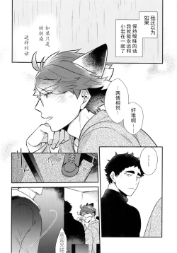 Page 20 of Iwa-chan no Neko ni Naritai| 我想成为小岩的猫