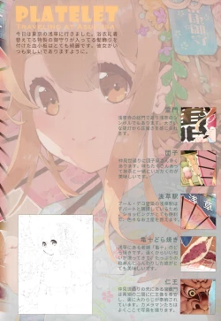 Page 17 of Ryokou Saibou