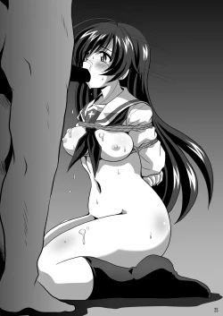 Page 25 of G Panzer 3