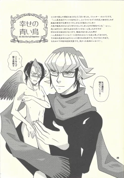 Page 28 of Shiawasenoaoitori