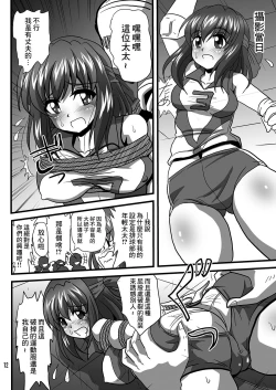 Page 12 of G Panzer 17