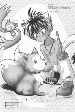 Page 41 of Mousou Shougekijou V