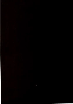 Page 4 of Dina-chan no Erohon V3