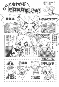 Page 13 of Toranayo.