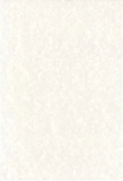 Page 4 of El Barco Blanco en el que Yo Esataba Viviendo