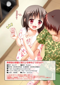 Page 27 of Nettaiya no Heya de Neteiru Imouto wo Dousuruka?