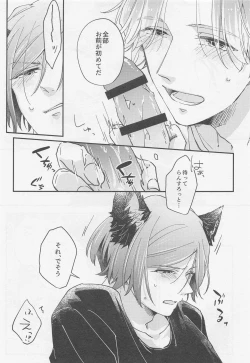 Page 21 of Lancelot ga Kemomimi no Kodomo o hirotta Hanashi 2