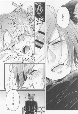 Page 28 of Lancelot ga Kemomimi no Kodomo o hirotta Hanashi 2