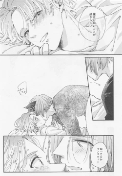 Page 35 of Lancelot ga Kemomimi no Kodomo o hirotta Hanashi 2