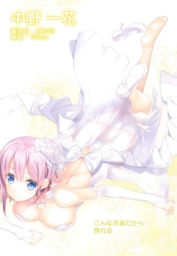 Page 27 of Gotoubun no Soushuuhen