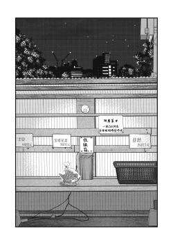 Page 48 of Jibun de Tsukutte Tabe Nasai. 2 | 要吃便当的话就请自己去做。2