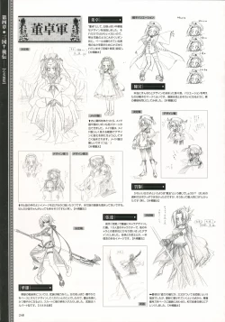 Page 251 of Shin Koihime MusouPerfect Visual Book