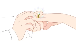 Page 267 of 占星術師