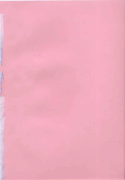 Page 5 of Chu Pet Strawberry Days