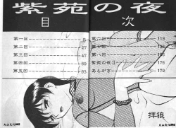 Page 3 of Shion No Yoru Aizouban