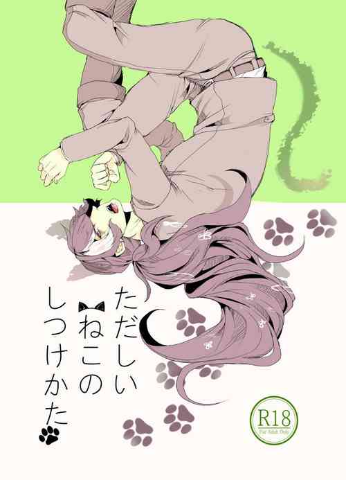 Download Tadashii ne Kono Shitsuke Kata