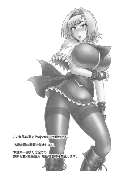 Page 3 of Alice Margatroid no StalkerDigital]