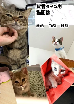 Page 45 of Papa wa Musume ga Daisuki