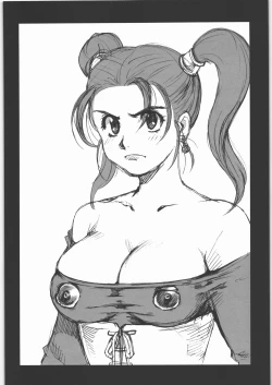 Page 17 of DQP Sairoku Hon