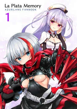 Page 1 of LaPlataMemory