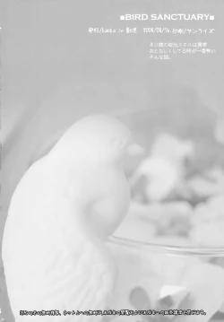 Page 33 of bird sanctuary