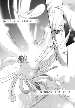 Page 6 of bird sanctuary