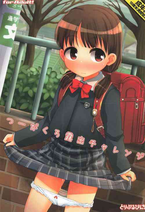 Download Tsuugakuro Roshutsu Challenge