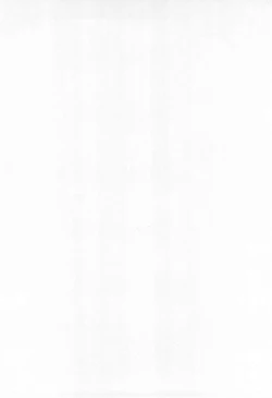 Page 4 of BM HAMTARO