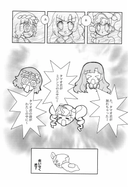 Page 11 of Anyamaru EGG