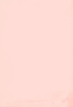 Page 13 of Anyamaru EGG