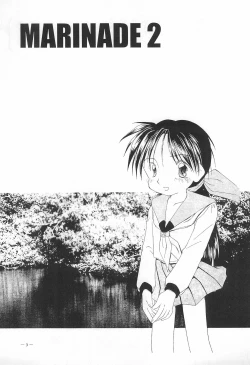 Page 3 of MARINADE 2