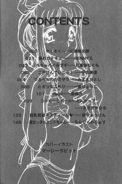 Page 3 of Hinnyuu Tengoku