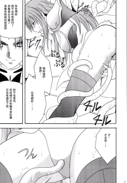 Page 13 of Kouseki no Kizuato