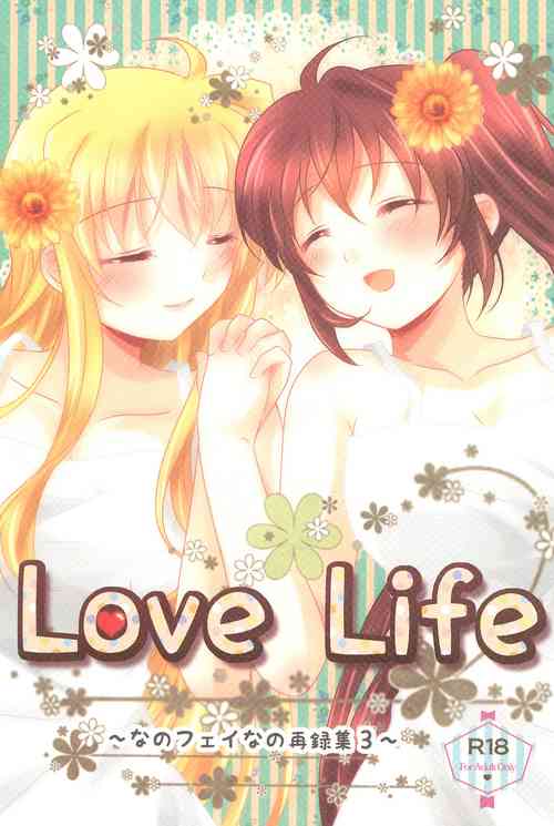 Download Love Lifeshuu 3-