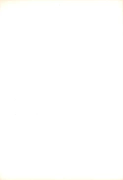 Page 2 of R.E.D Style