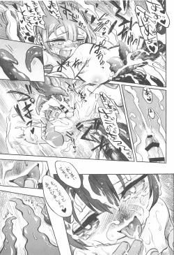 Page 33 of Marulk-chan no Doshigatai Nichijou