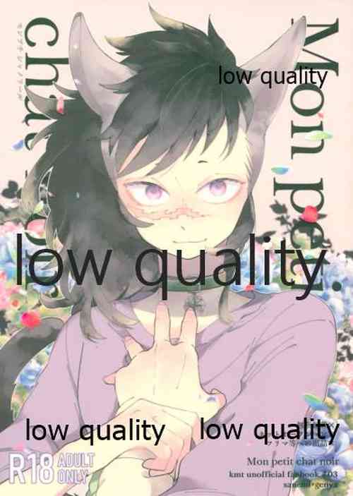 Download Mon petit chat noir