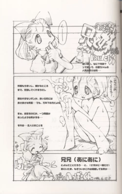 Page 12 of E-Ro² ver 1.5